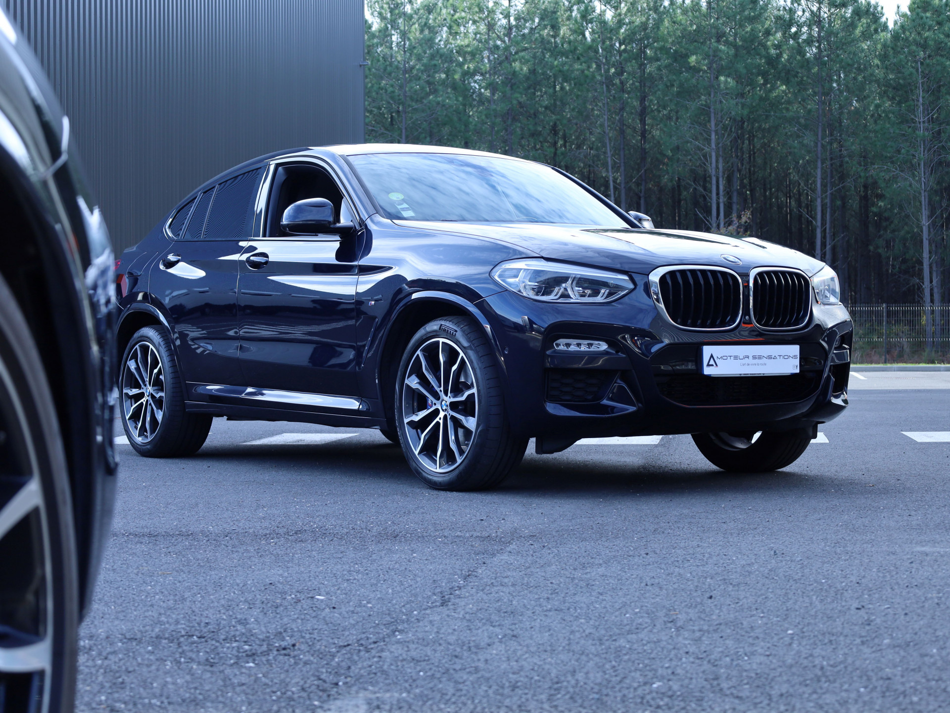 X4Msport.png
